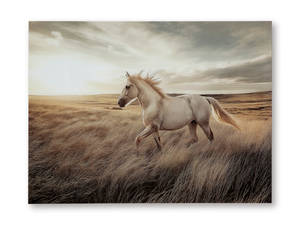 Picture of Errolville Wall Art