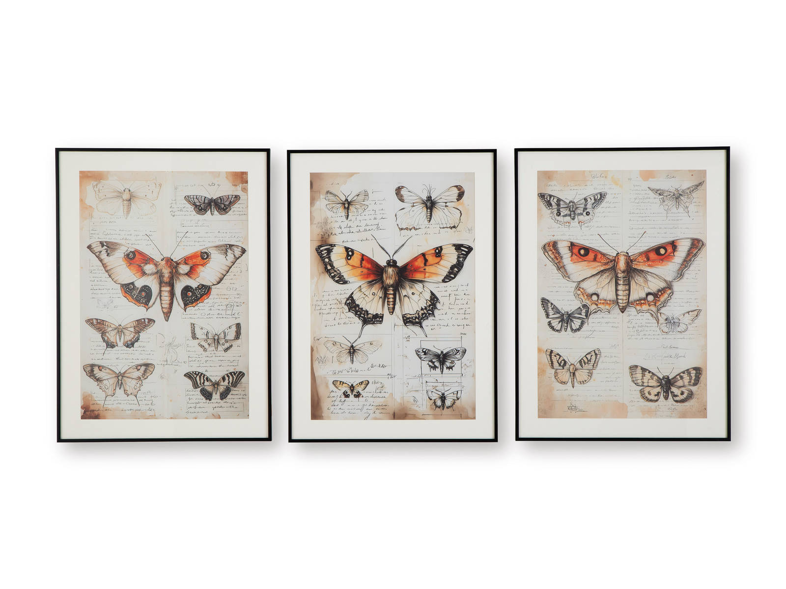 Picture of Jossletts Wall Art Set