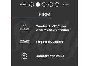 Picture of Princeton II Firm Queen Mattress