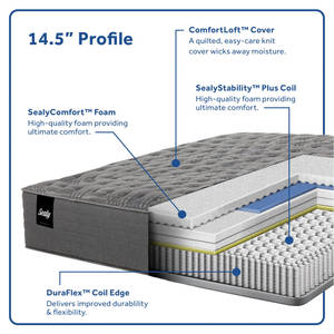 Picture of Princeton II Firm Queen Mattress