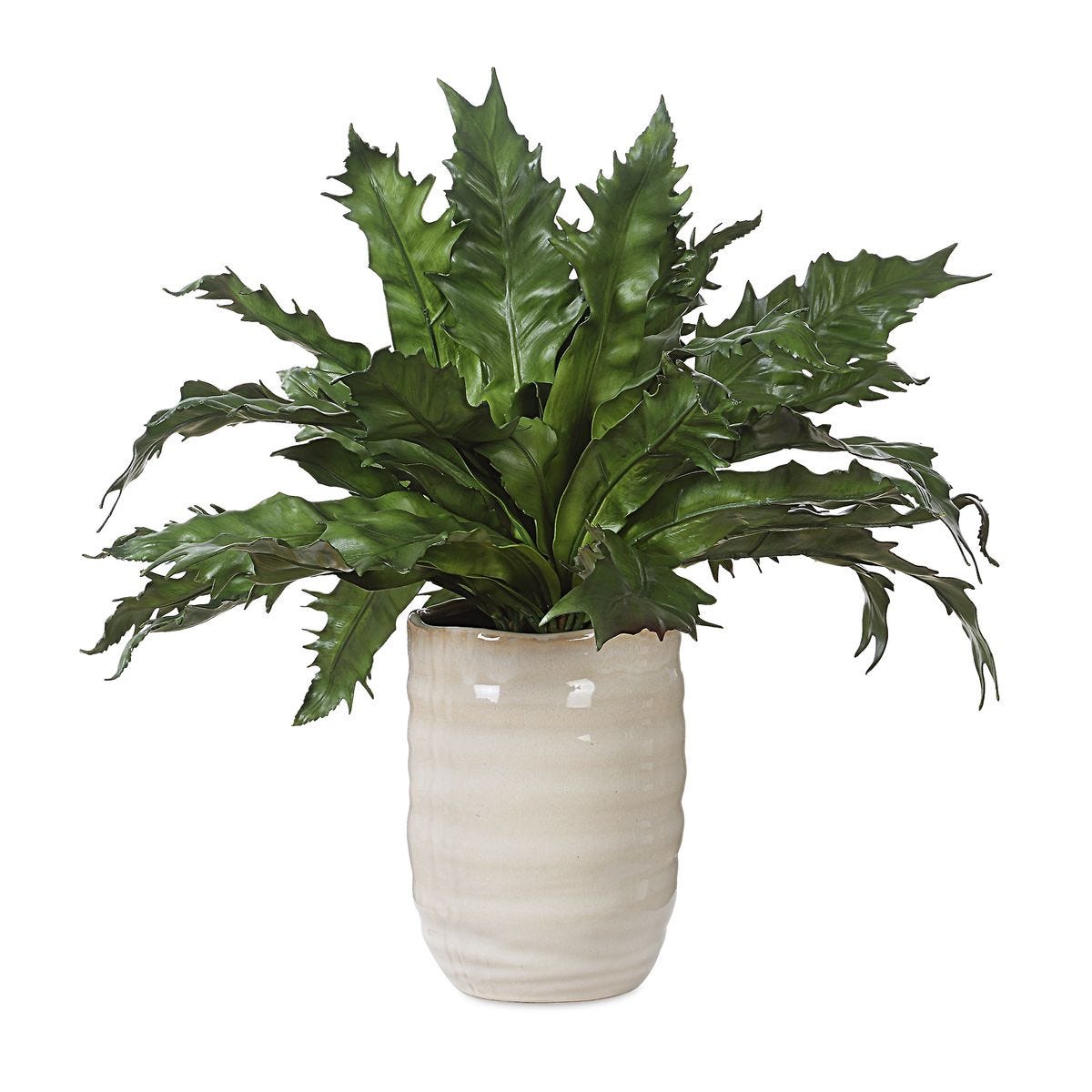 Picture of Verdure Fern
