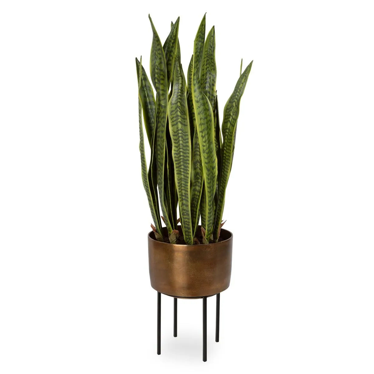 Picture of Fasita Planter