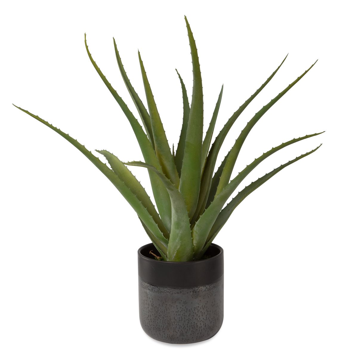 Picture of Tucson Aloe Planter