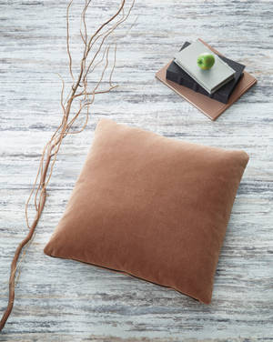 Picture of Jaxkins Accent Pillow