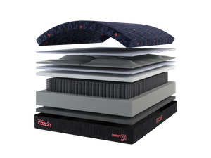 Picture of MemorySpa Queen Mattress & Massage Pump