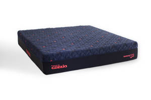 Picture of MemorySpa Queen Mattress & Massage Pump
