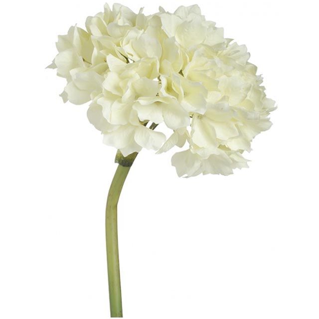 Picture of 14in Hydrangea