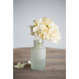 Picture of 14in Hydrangea