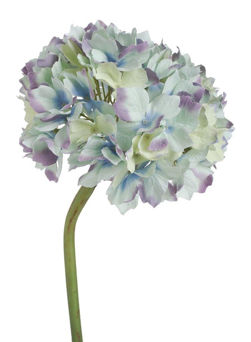 Picture of 14in Hydrangea