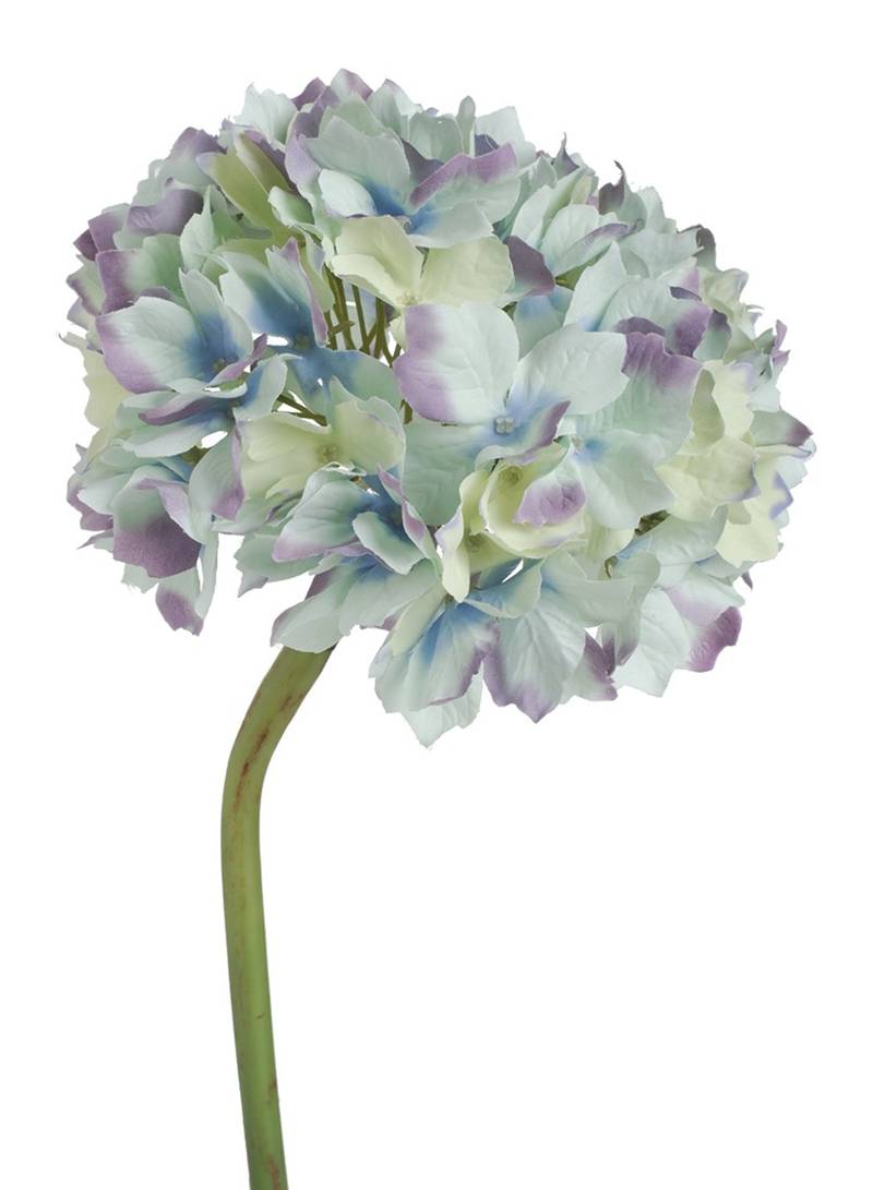Picture of 14in Hydrangea