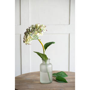 Picture of 14in Hydrangea