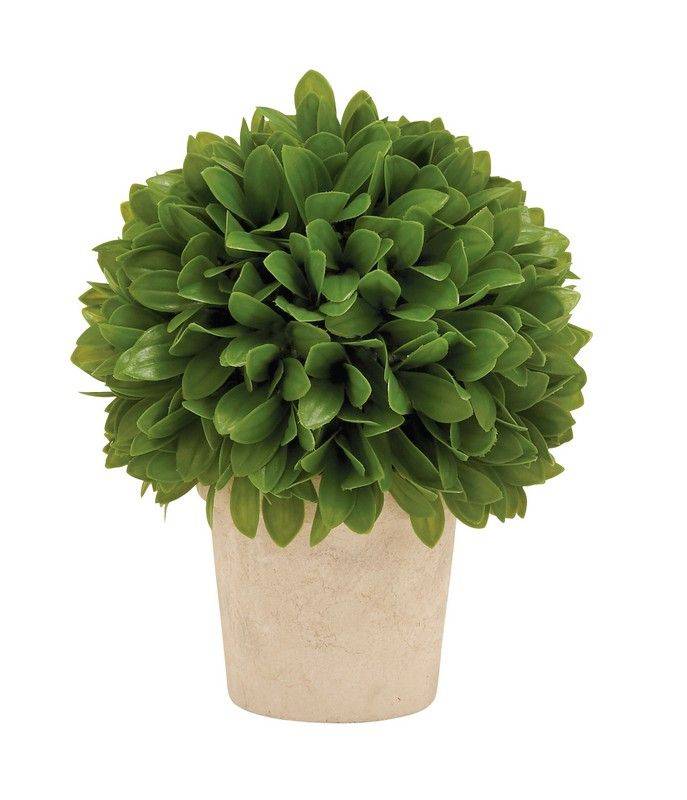 Picture of Leaf Ball in Pot