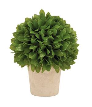 Picture of Leaf Ball in Pot