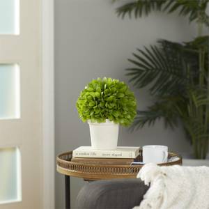 Picture of Leaf Ball in Pot