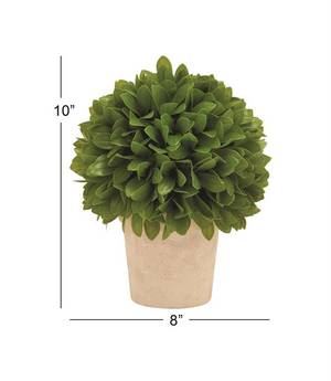 Picture of Leaf Ball in Pot