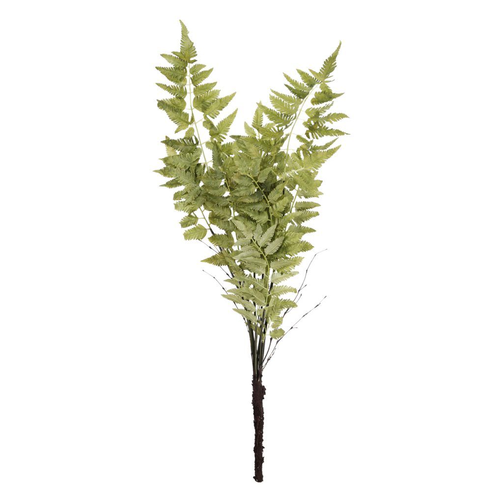 Picture of 36in Fern Spray