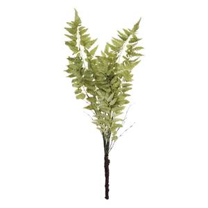 Picture of 36in Fern Spray