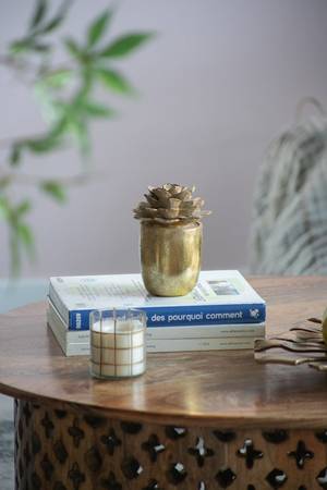 Picture of Succulent Figurine