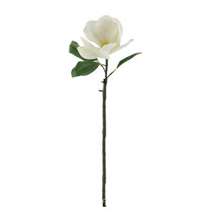 Picture of 30in Magnolia Stem