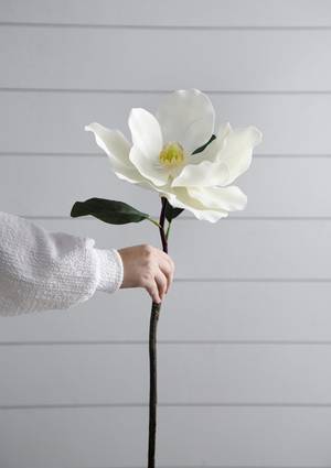 Picture of 30in Magnolia Stem