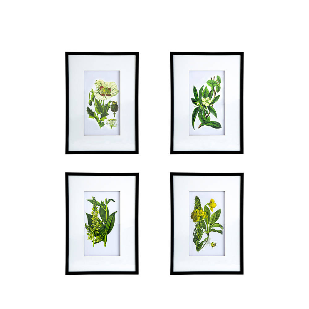 Picture of Botanical Wall Art Set