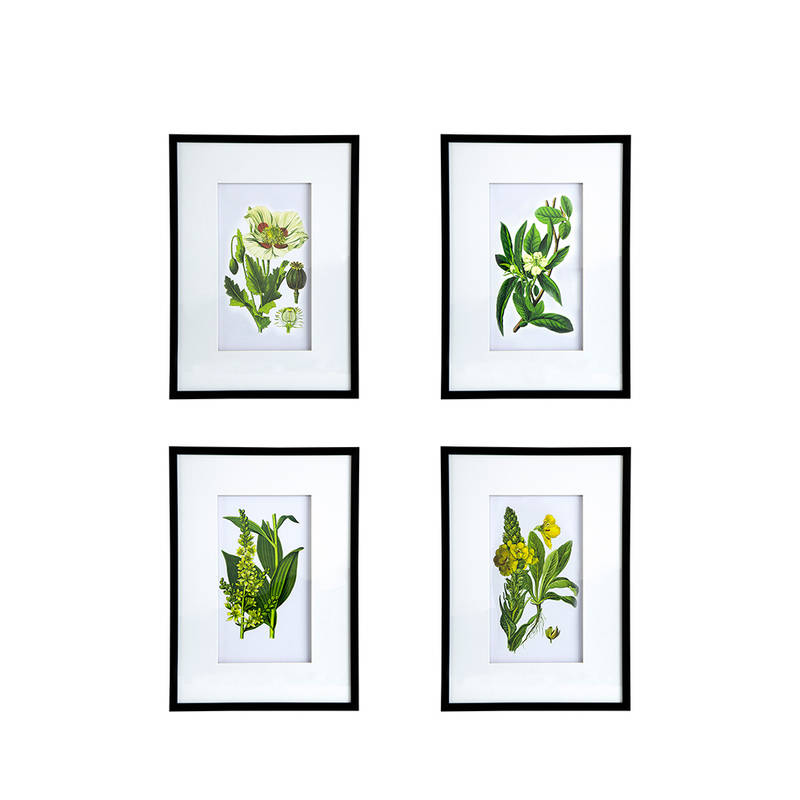 Picture of Botanical Wall Art Set