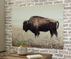 Picture of Brutus Wall Art