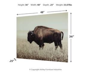 Picture of Brutus Wall Art