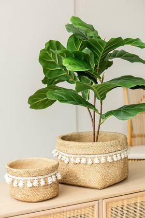 Picture of Planters Set