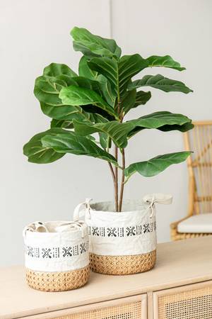 Picture of Planters Set