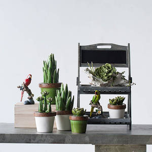 Picture of Decorative Ceramic Plant