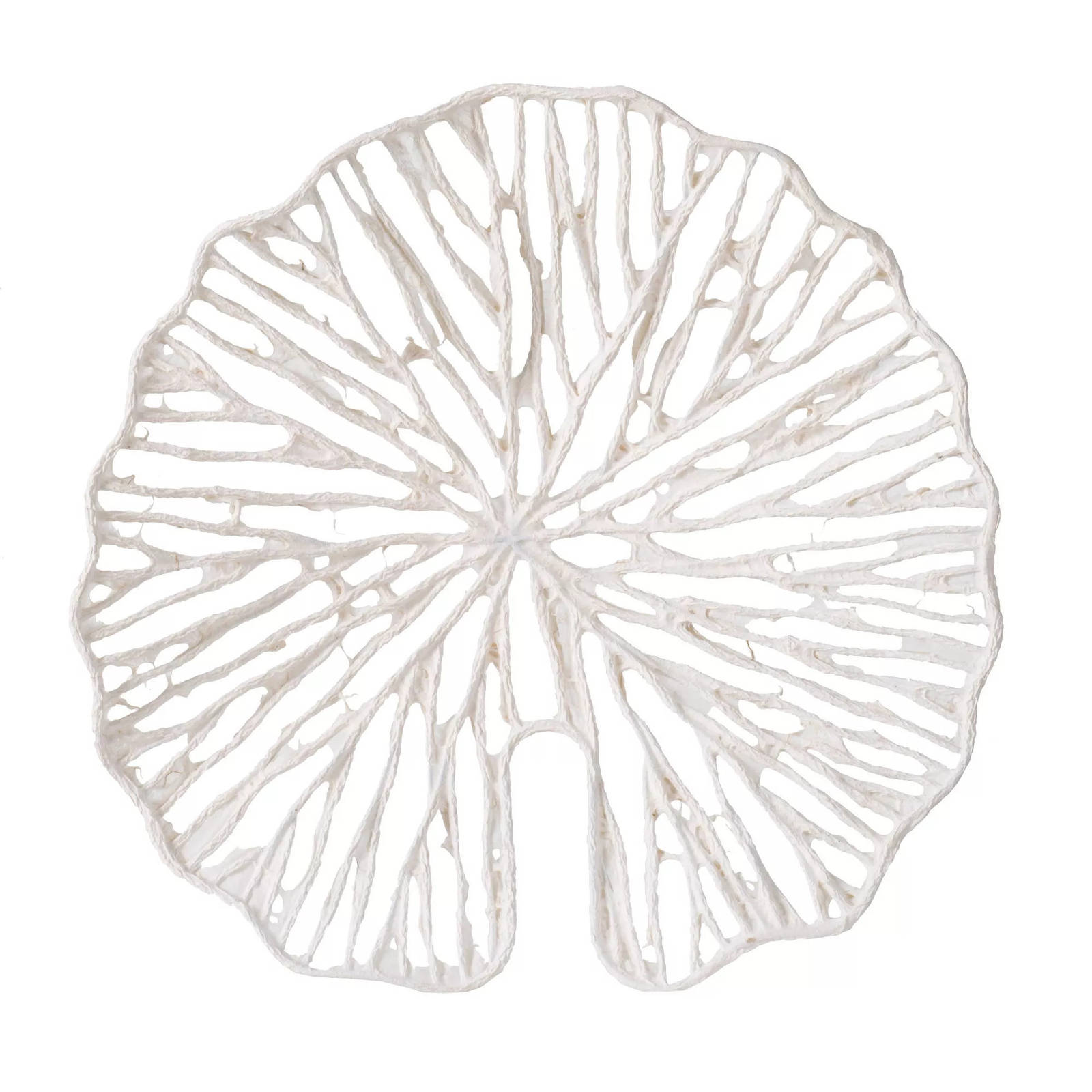 Picture of Wall Decor