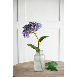 Picture of 14" Hydrangea