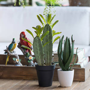 Picture of Faux Succulents Set