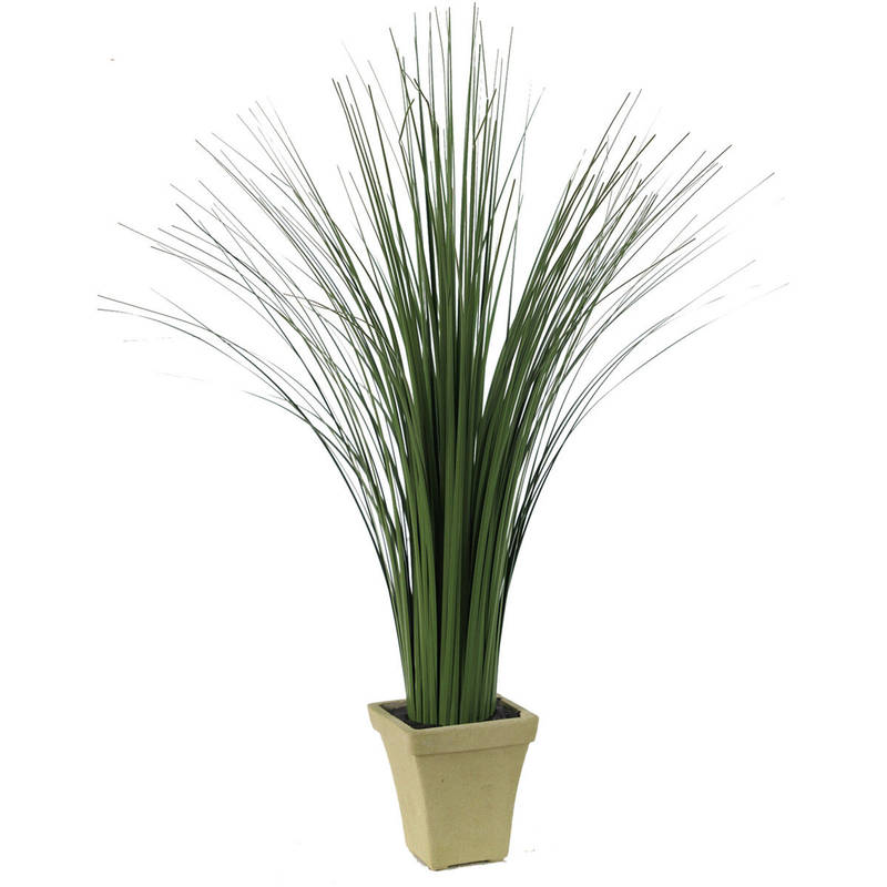 Picture of Ornamental Potted Grass