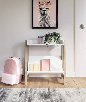 Picture of Blariden Bookcase