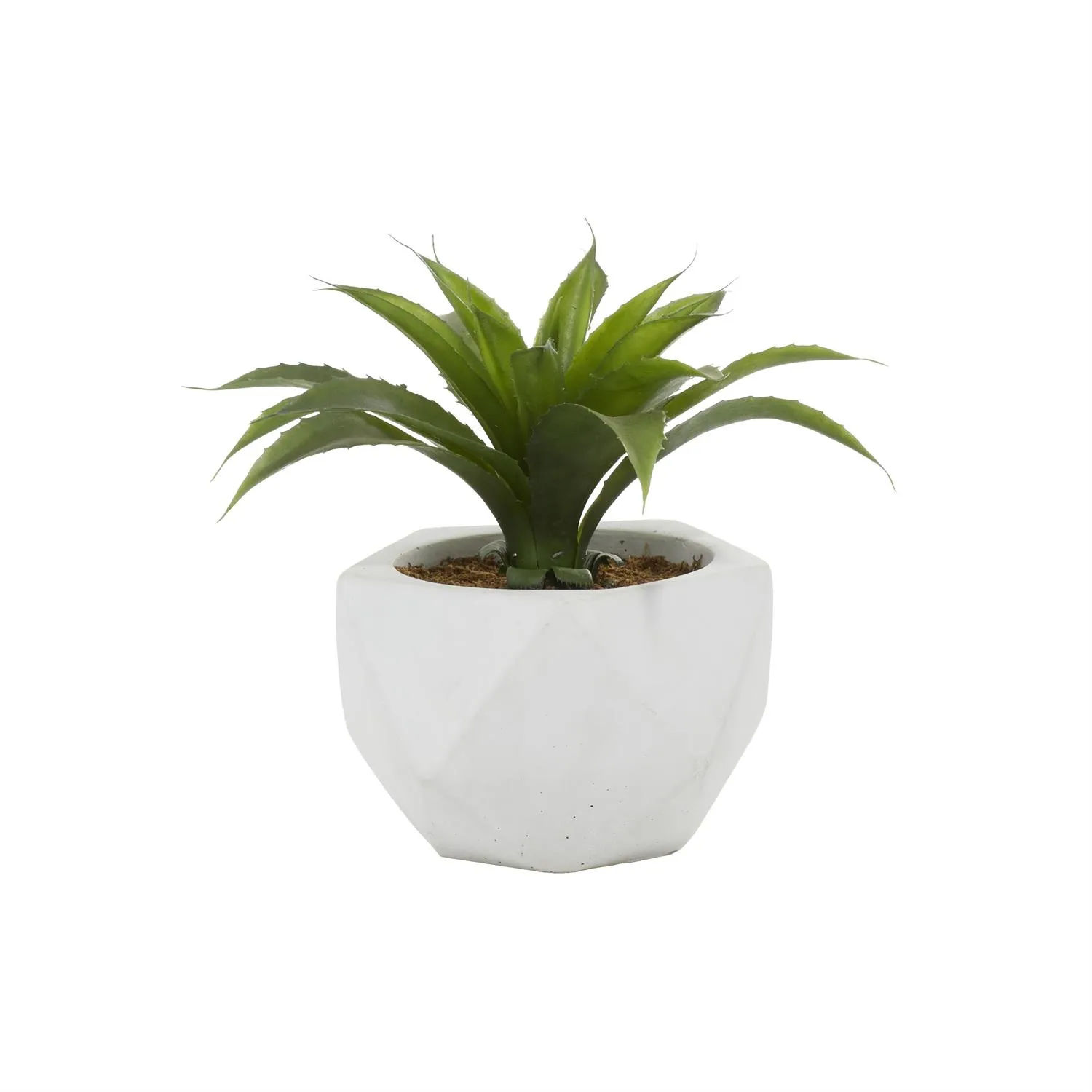 Picture of Faux Succulent Plant
