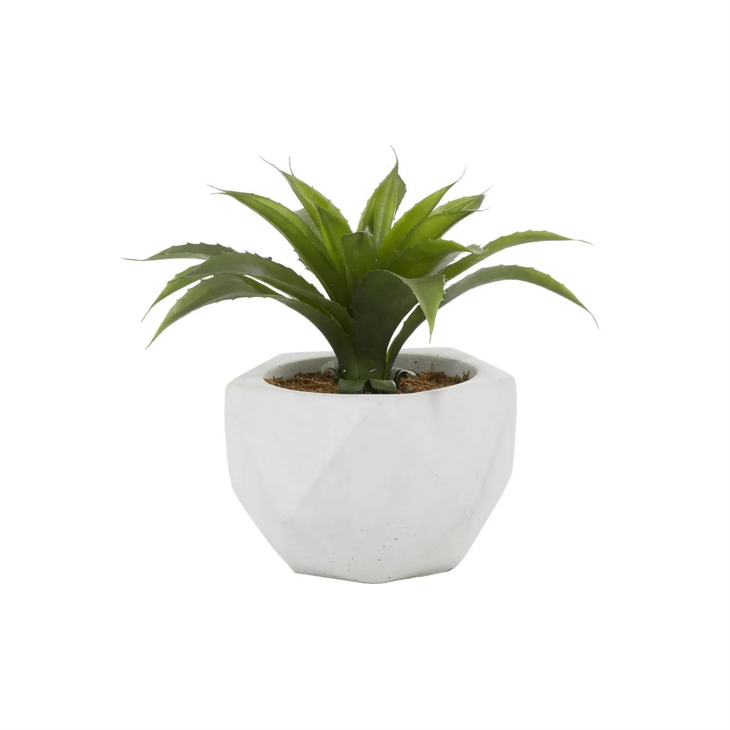 Picture of Faux Succulent Plant