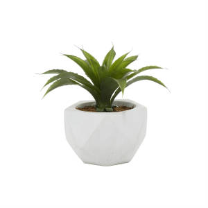 Picture of Faux Succulent Plant
