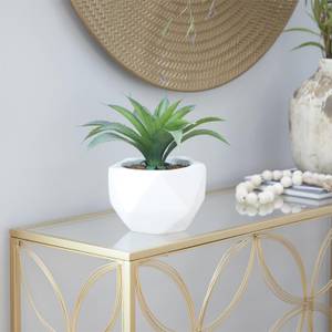 Picture of Faux Succulent Plant