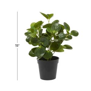 Picture of Faux Peperomia Plant