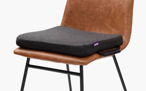 Picture of Purple Double Seat Cushion