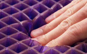 Picture of Purple Double Seat Cushion