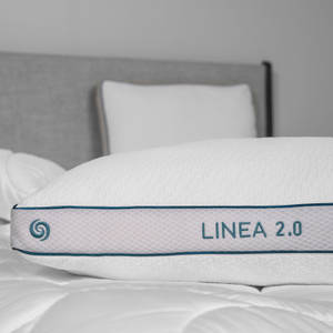 Picture of Linea 2.0 Pillow