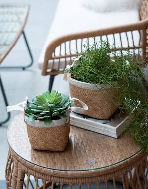 Picture of Planters Set