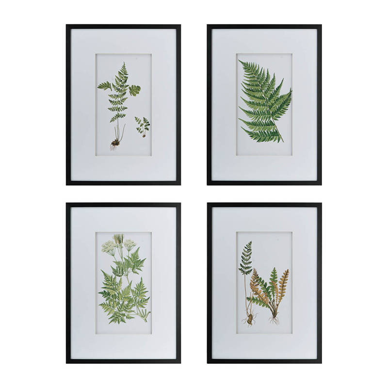 Picture of Botanical Wall Art Set