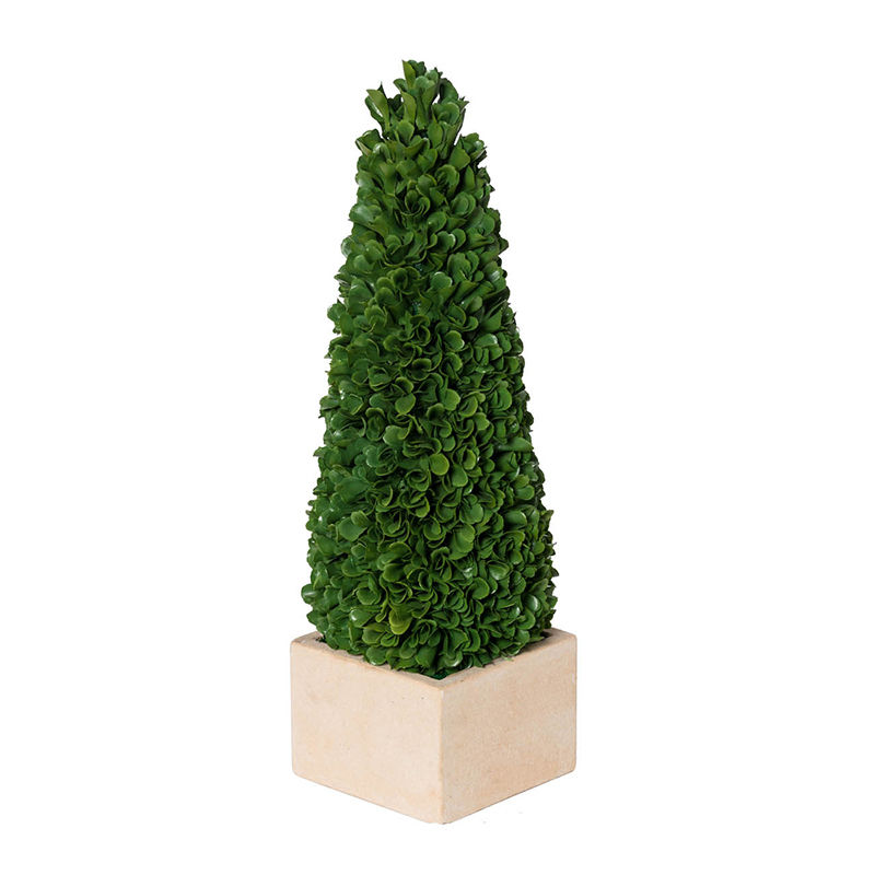 Picture of Topiary Tree