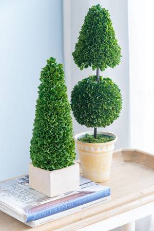 Picture of Topiary Tree