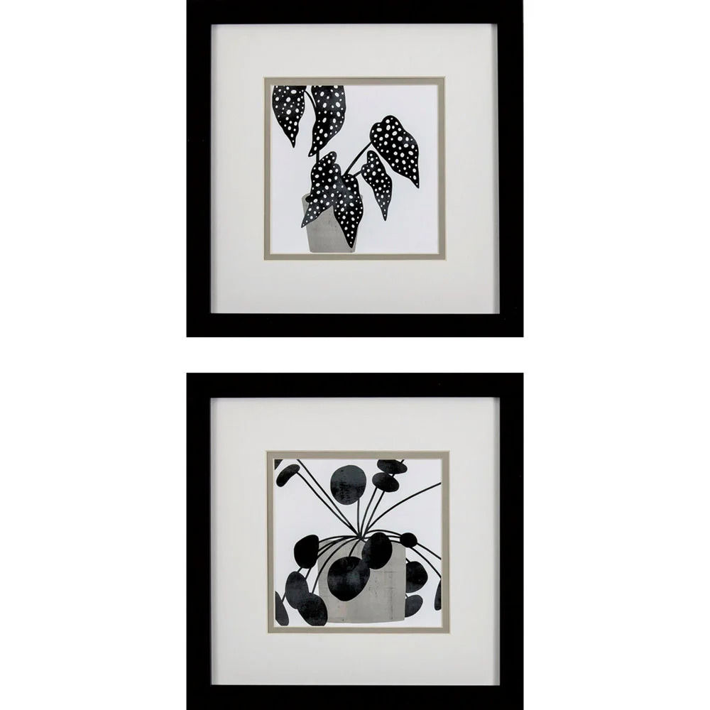 Picture of Plantling B Wall Art Set