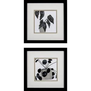 Picture of Plantling B Wall Art Set